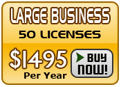 Buy Large Business Plan
